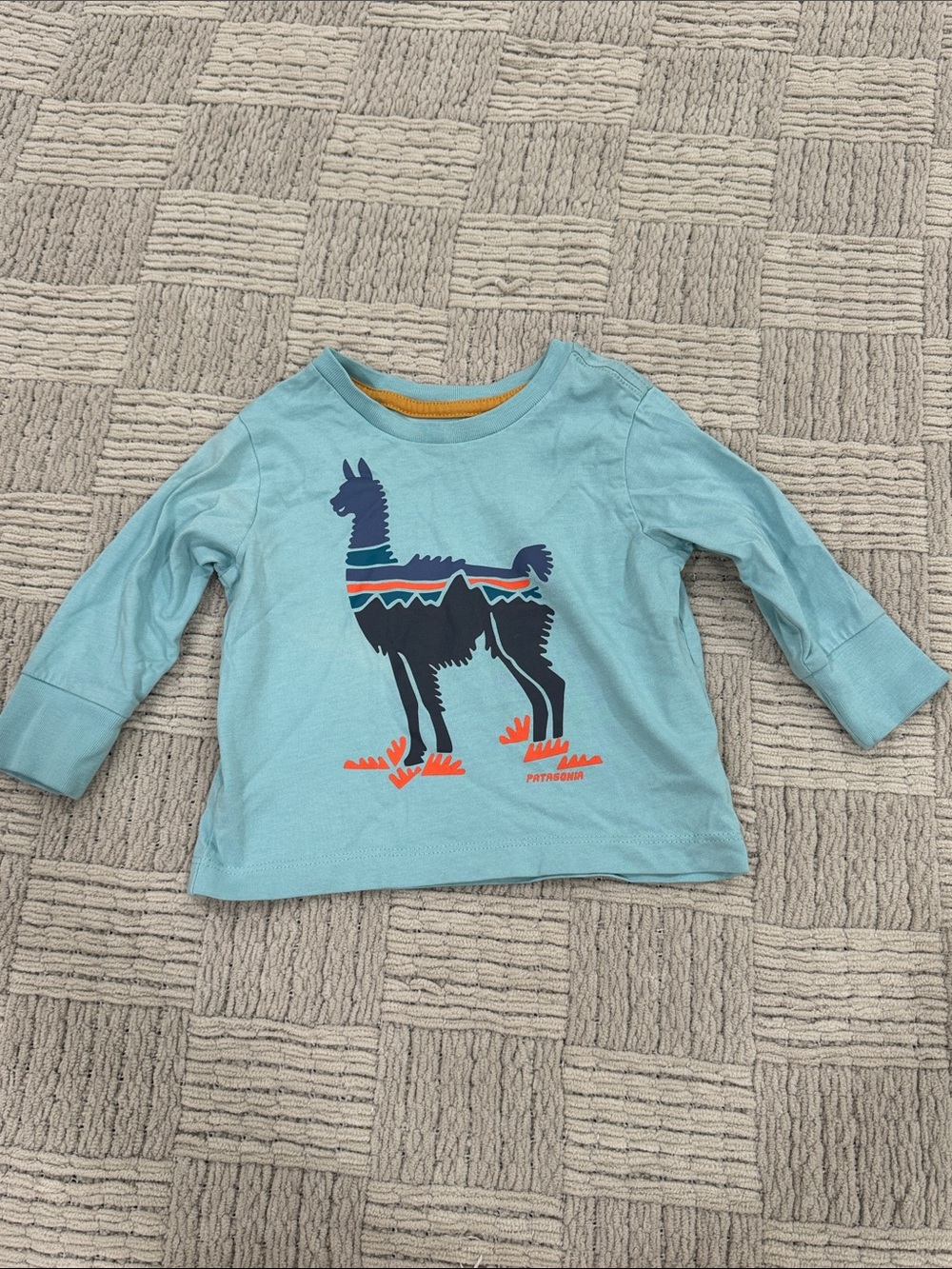 Patagonia Aqua Blue Llama Graphic Long-Sleeve Tee